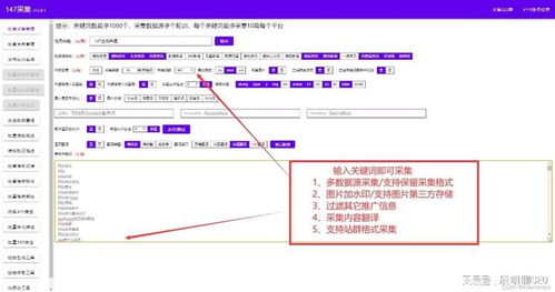 英文站群,站群cms插件